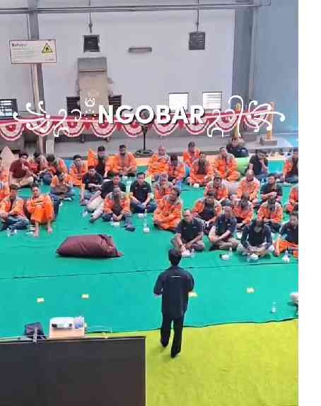 Ngobar Plant Performance